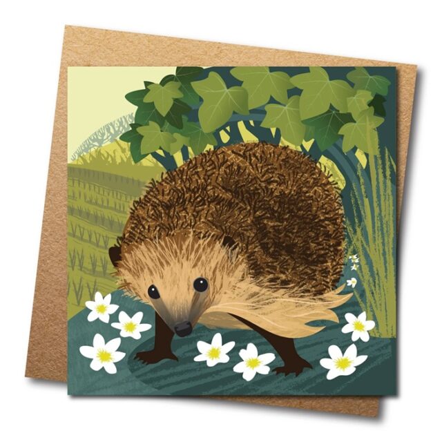 Hedgehog greetings card by Rachel Hudson shows a little brown hedgehog with white flowers in front