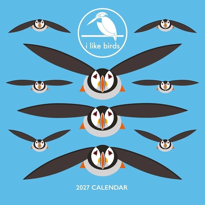 i like birds calendar 2027 shows stylised puffins in black against a blue background