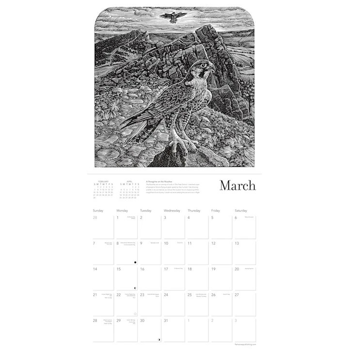 Image shows a black and white wood engraving of a peregrine falcon sitting on rocks with a second bird hovering above part of the Andy English Calendar 2027