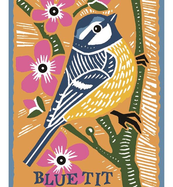Blue Tit card by Kate Heiss shows a blue and yellow bird sitting on a branch with pink flowers with the word blue tit written above