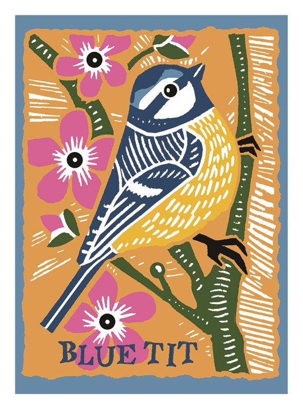 Blue Tit card by Kate Heiss shows a blue and yellow bird sitting on a branch with pink flowers with the word blue tit written above