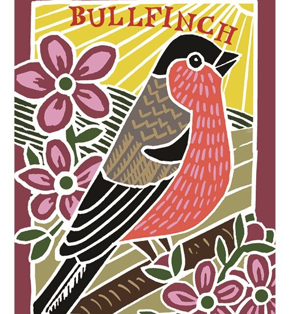 Bullfinch card by Kate Heiss shows a black brown and red bird sitting on a branch amongst pink flowers with the word bullfinch written above