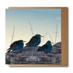 Starlings on Harbour Wall Greetings Card by Rachel Hudson shows three black birds facing right sitting on a stone wall with ships' masts behind