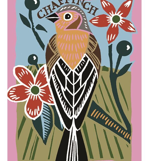 Chaffinch card by Kate Heiss shows a black and brown bird sitting on a stem with red flowers with the word chaffinch written above