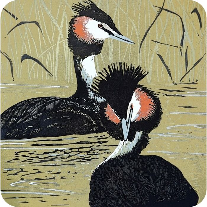 Great Crested Grebe Placemat by Sue Welfare shows two black birds with red and white faces swimming against a muted background