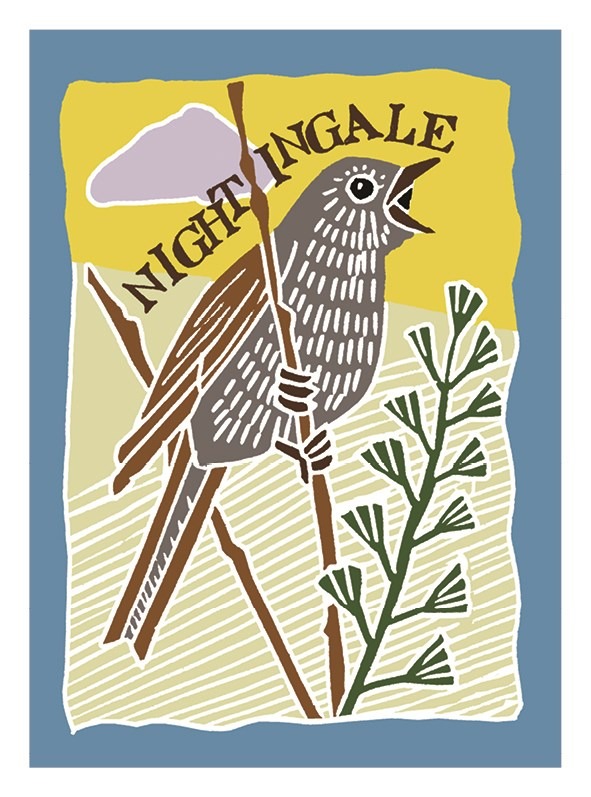 Nightingale Nightingale card by Kate Heiss shows a brown bird sitting on a stem with the word nightingale written above