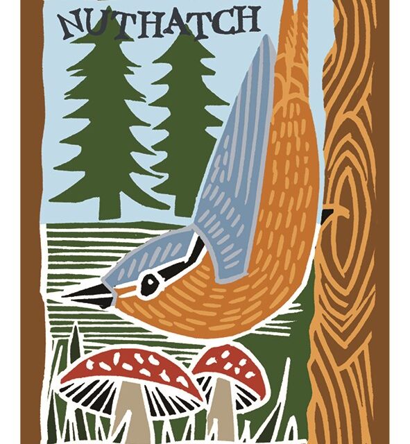 Nuthatch card by Kate Heiss shows a blue and tobacco coloured bird perched on a tree with more green trees behind, mushrooms in the foreground and the word nuthatch written above