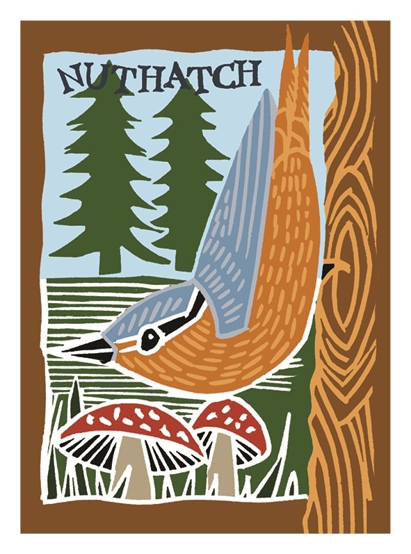 Nuthatch card by Kate Heiss shows a blue and tobacco coloured bird perched on a tree with more green trees behind, mushrooms in the foreground and the word nuthatch written above
