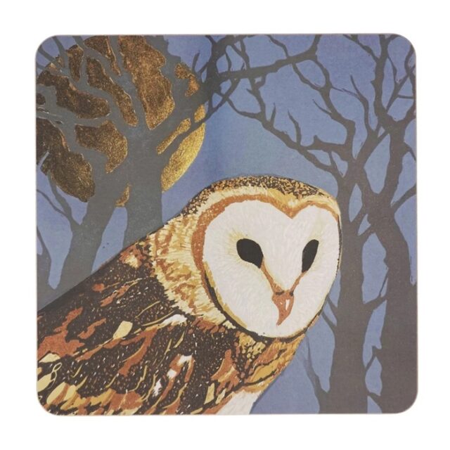 Owl Full Moon Placemat by Sue Welfare shows a barn owl with white disc face and brown body amidst branches with a full round moon behind