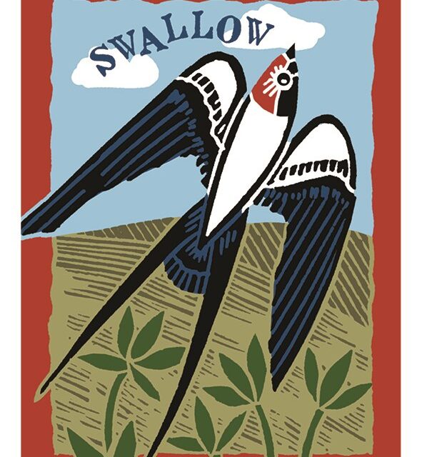 Swallow card by Kate Heiss shows a black and white bird flying across a field with the word swallow written above