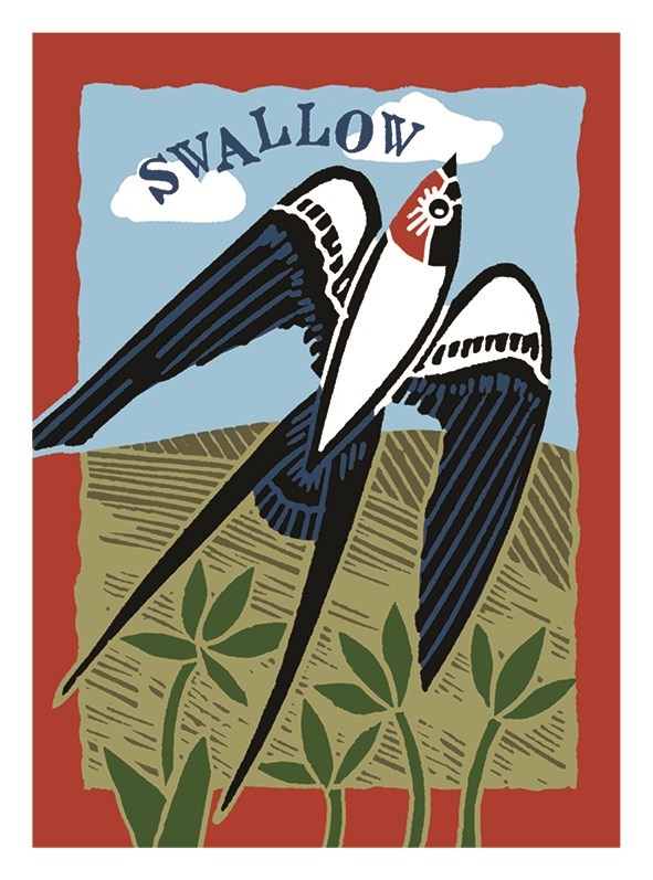 Swallow card by Kate Heiss shows a black and white bird flying across a field with the word swallow written above