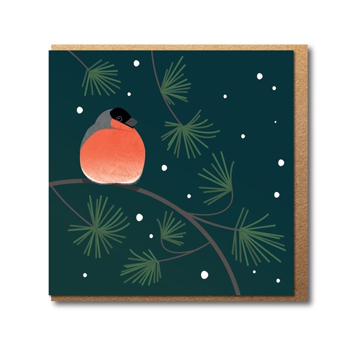 Bullfinch greetings card by Rachel Hudson shows a red fronted bird sitting on the branch of a fir tree against a dark background with small snow flakes