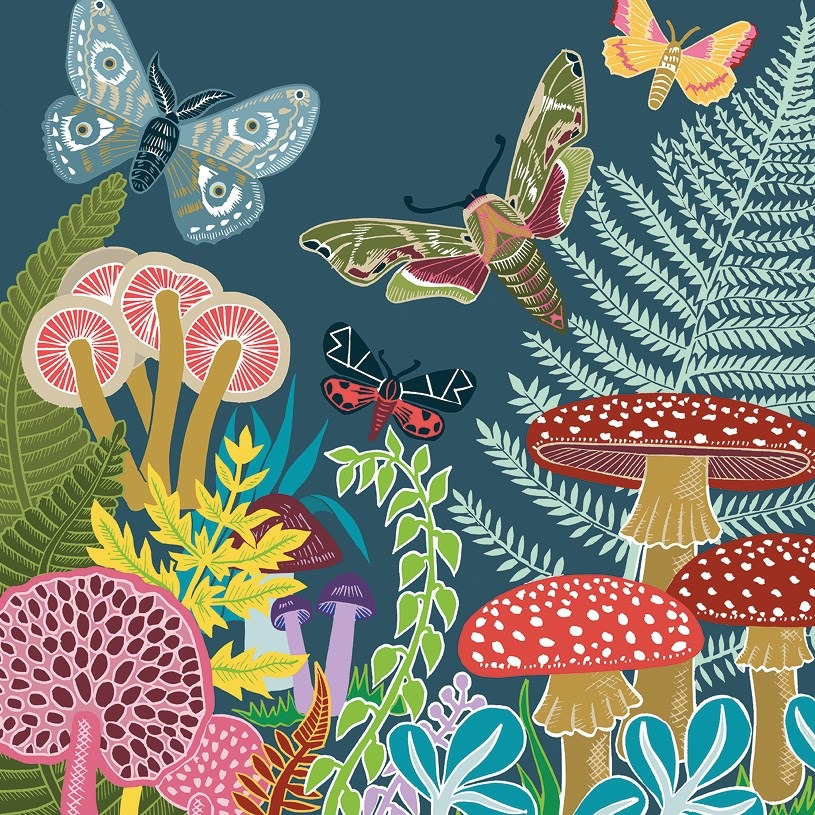Butterflies and Moths greetings card by Kate Heiss shows four colourful insects flying above equally colourful funghi and plants against a dark blue background
