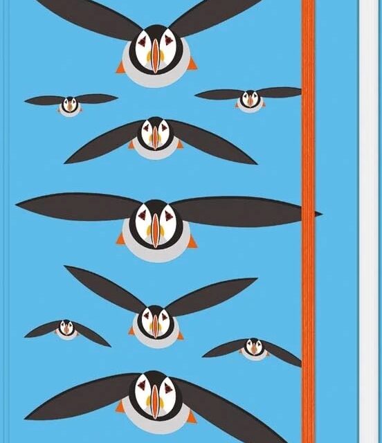 i like birds notebook shows black stylised puffins flying against a blue background. A red elastic ribbon runs top to bottom around the book