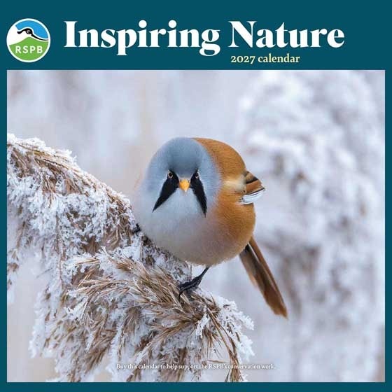RSPB Inspiring Nature Calendar 2027 shows a bird with grey head and dark markings and a brown body sitting on a frosty seed head with the words Inspiring Nature Calendar 2027 above